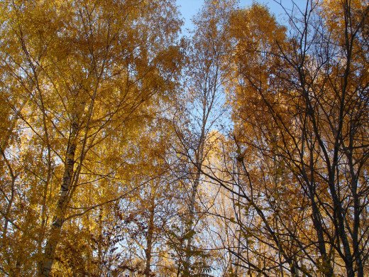 34616 (a): :1024x768